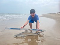 South Texas Shark Stewards - Cody  Guardiola