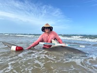 South Texas Shark Stewards - Marteen Guardiola