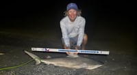 Sharkaholics - David Crain