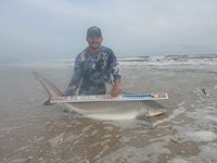 South Texas Shark Stewards - Pedro  Elizadle