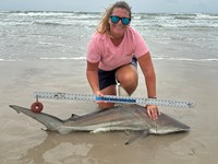 Team Breakaway  - Ashley Meadows