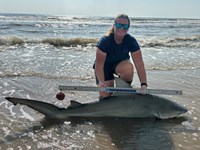 Team Breakaway  - Ashley Meadows