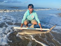 Sharkotic  - Joey  Weatherford
