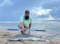 Just Bitten Shark Fishing Team - Guy Havel