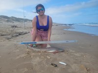 South Texas Shark Stewards - Vanessa  Fuentes