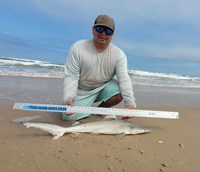 South Texas Shark Stewards - ROME Fuentes