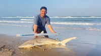 South Texas Shark Stewards - Pedro  Elizadle