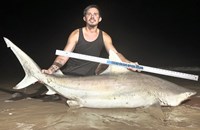 Prodigy Fishing  - Paul  Odabashian 
