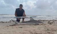 Just Bitten Shark Fishing Team - Walter Colton