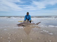 Shark at the Moon - Hunter Caldwell
