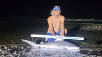 Sharkaholics - David Crain