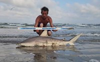 Shark at the Moon - Erik  Schneider