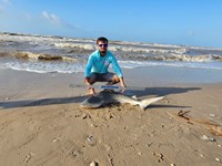 Sharkotic  - Joey  Weatherford