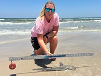 Team Breakaway  - Ashley Meadows