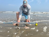 FinsUpDallas - Nicholas Conklin