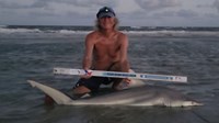 Sharkaholics - David Crain