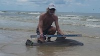 Sharkaholics - David Crain