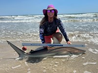 Team Breakaway  - Ashley Meadows