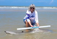 Team Breakaway  - Carol  Cox