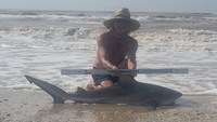 Sharkaholics - David Crain