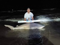 Shark at the Moon - Hunter Caldwell