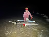 South Texas Shark Stewards - Marteen Guardiola