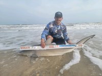 South Texas Shark Stewards - Pedro  Elizadle
