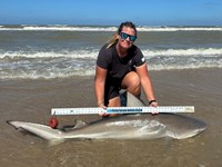 Team Breakaway  - Ashley Meadows