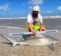 Just Bitten Shark Fishing Team - Guy Havel
