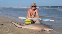 Sharkaholics - David Crain