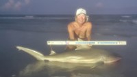 Sharkaholics - David Crain