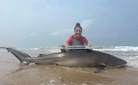 Prodigy Fishing  - Maria Fernanda  Perez