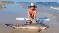 Sharkaholics - David Crain
