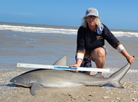 Team Breakaway  - Carol  Cox