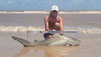 Sharkaholics - David Crain