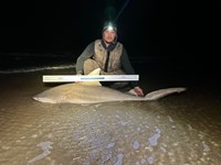 Shark at the Moon - Hunter Caldwell