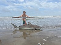 Sandbar Carnage - Cayden Jones