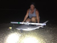 Team JackWagon - Kimberly Collier