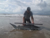 Sharkaholics - Ron Richmond