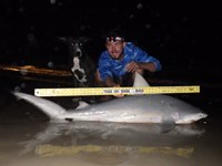 Sharkaholics - Zach Crain