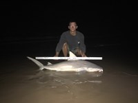 Shark At The Moon - Patrick McMahon