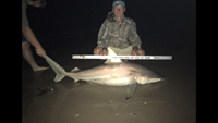 REELentless Sharkers - Cole Nagler