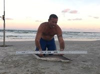 Shark Tribe - Tim Merchant