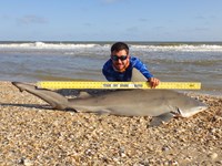 Sharkaholics - Zach Crain