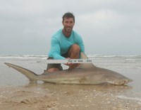 Sharkaholics - Kelly O'brien