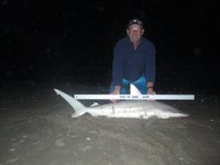 Sharkaholics - Ron Richmond