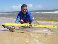 Sharkaholics - Zach Crain