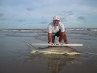 Sharkaholics - Ron Richmond
