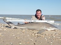 Sharkaholics - Zach Crain