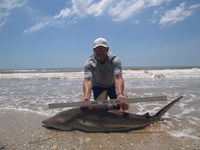 Sharkaholics - Ron Richmond